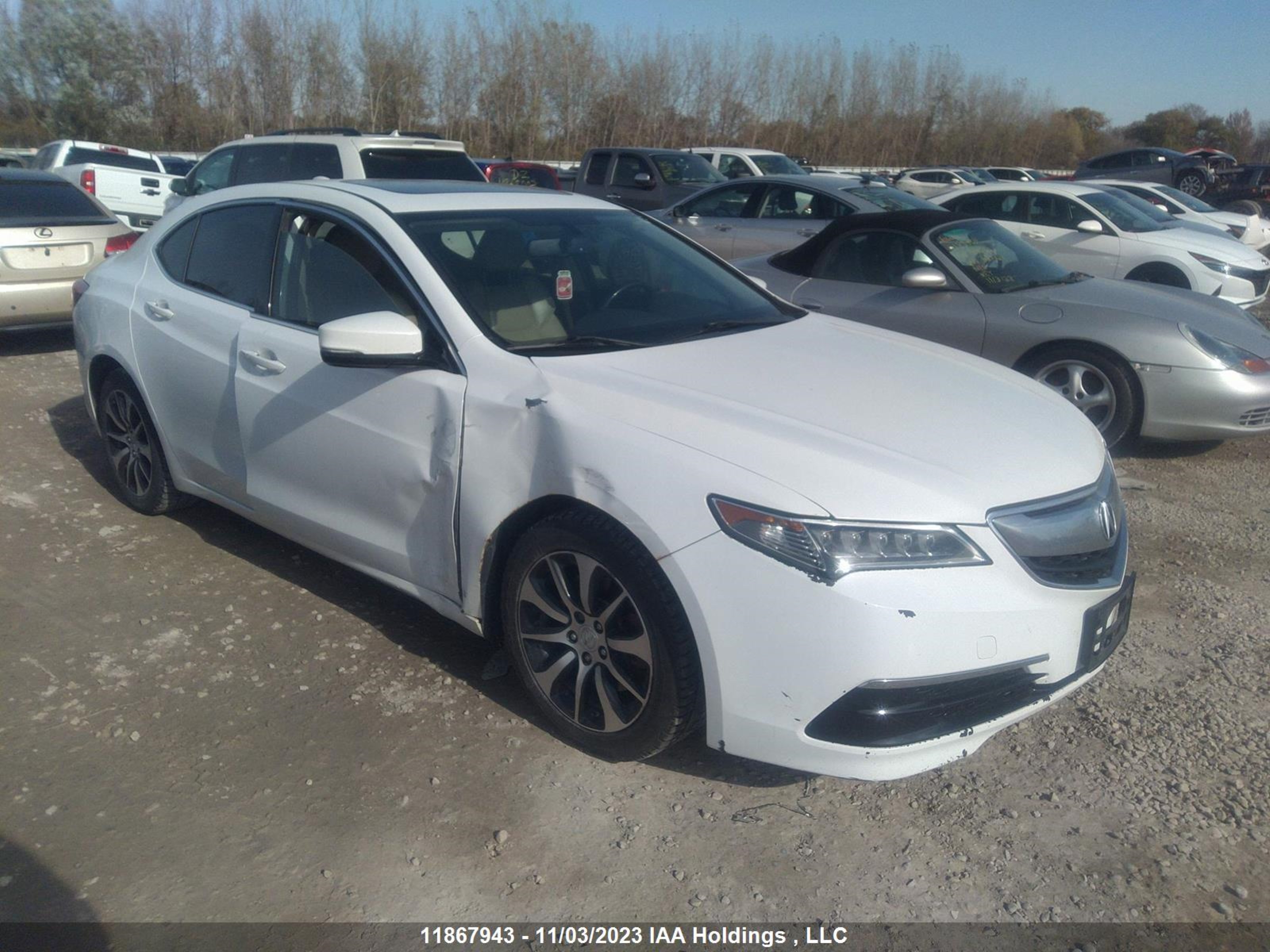 19UUB1F39GA800191  acura tlx 2016 IMG 0