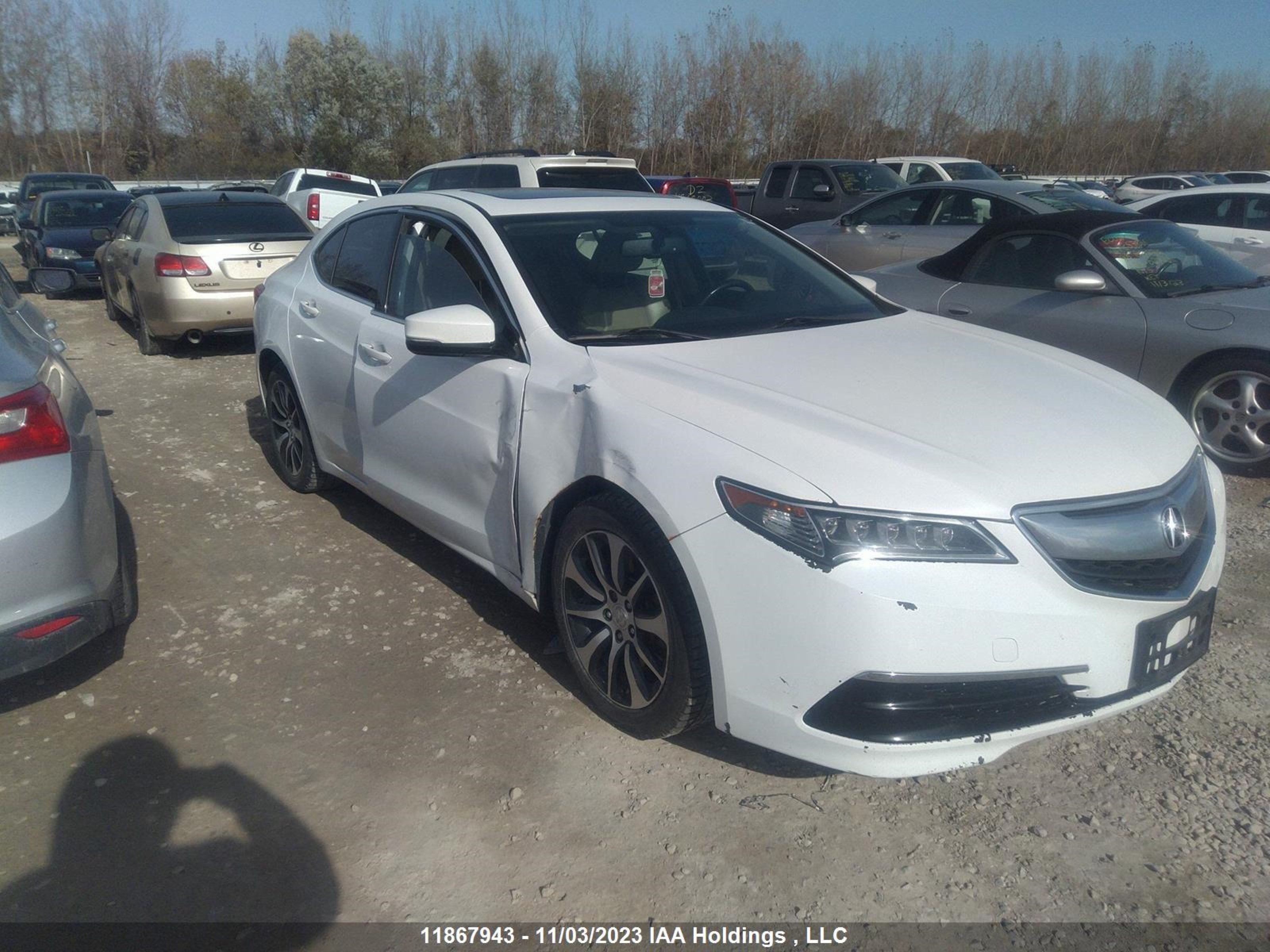 19UUB1F39GA800191  acura tlx 2016 IMG 5