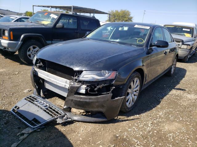 WAUEFAFL5AN003568  audi  2010 IMG 1