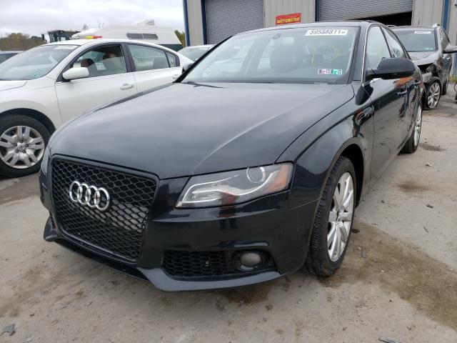 WAUFFAFL0AN015566  audi  2010 IMG 1