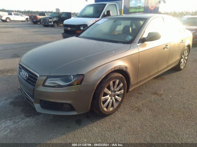 WAUFFAFL5AN007169  audi a4 2010 IMG 1