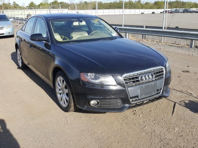 WAUFFAFL8AN023074  audi a4 2010 IMG 0