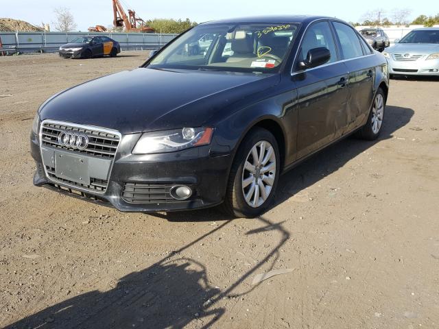 WAUFFAFL8AN023074  audi a4 2010 IMG 1