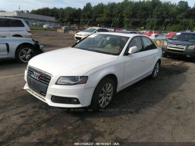 WAUFFAFL8AN041994  audi a4 2010 IMG 1