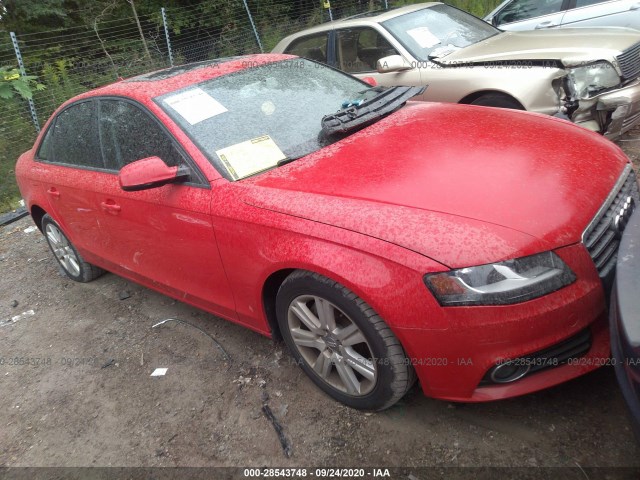 WAUBFAFL5BN020827  audi a4 2011 IMG 0