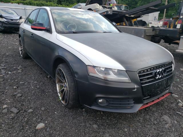 WAUBFAFL8AN058616  audi  2010 IMG 0