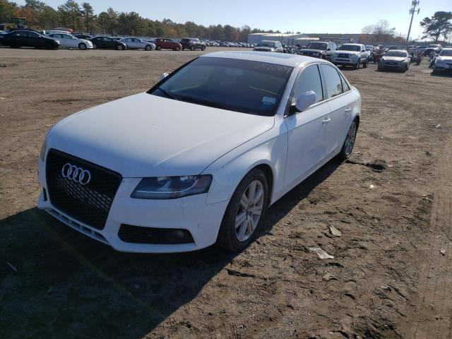 WAUBFAFL8AN064142  audi  2010 IMG 1