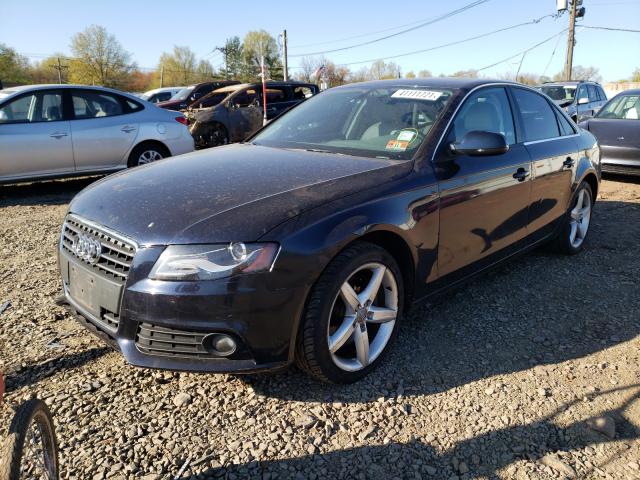 WAUFFAFL8AN051814  audi a4 2010 IMG 1