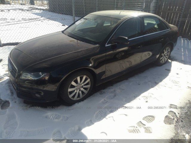 WAUHFAFL0AN046325  audi a4 2010 IMG 1