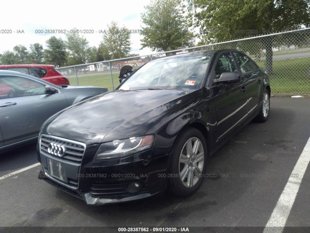 WAUBFAFL5BN040186  audi a4 2011 IMG 1