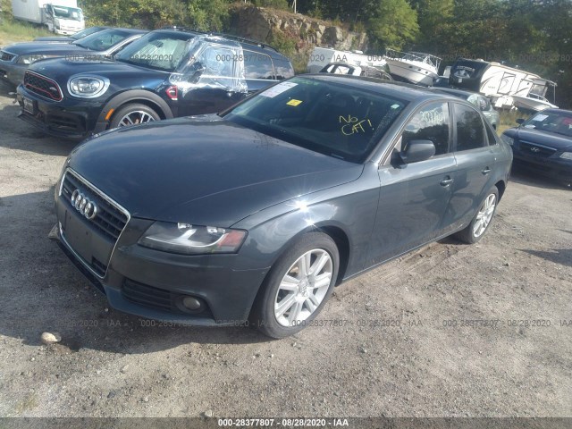 WAUBFAFL8BN007554  audi a4 2011 IMG 1