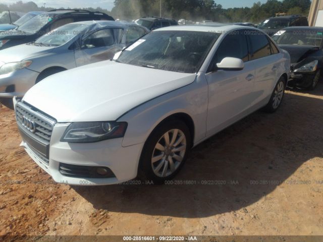 WAUAFAFL5CN021151  audi a4 2012 IMG 1