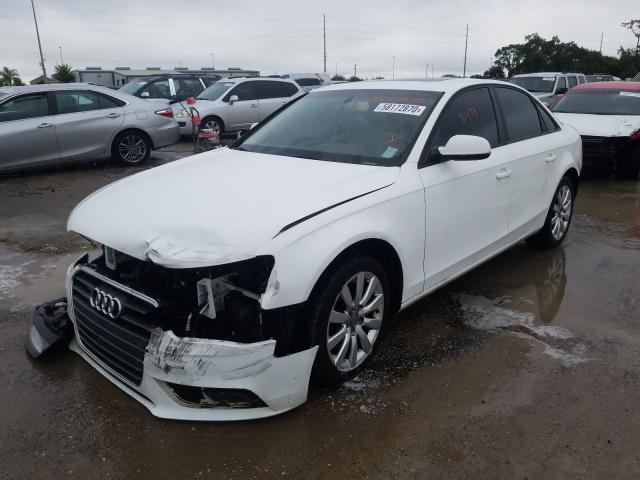 WAUAFAFL9EN034262  audi  2014 IMG 1