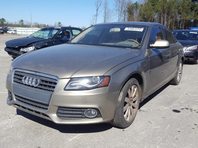 WAUFFAFLXAN036957  audi a4 premium 2010 IMG 1