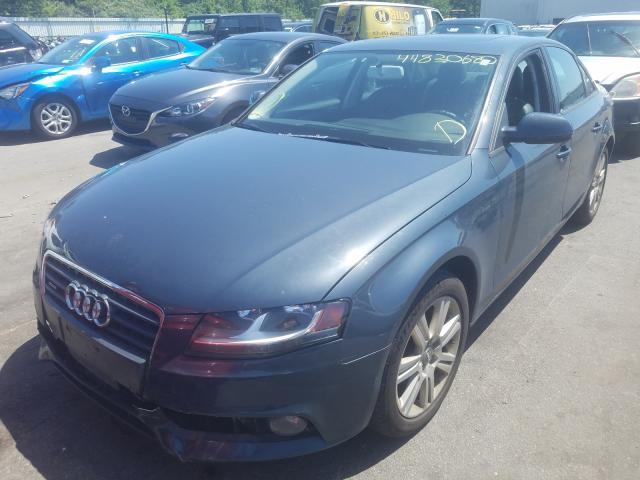 WAUBFAFL8BN036035  audi a4 premium 2011 IMG 1