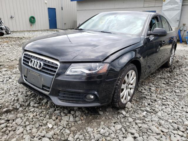 WAUBFAFLXCN001126  audi a4 premium 2012 IMG 1