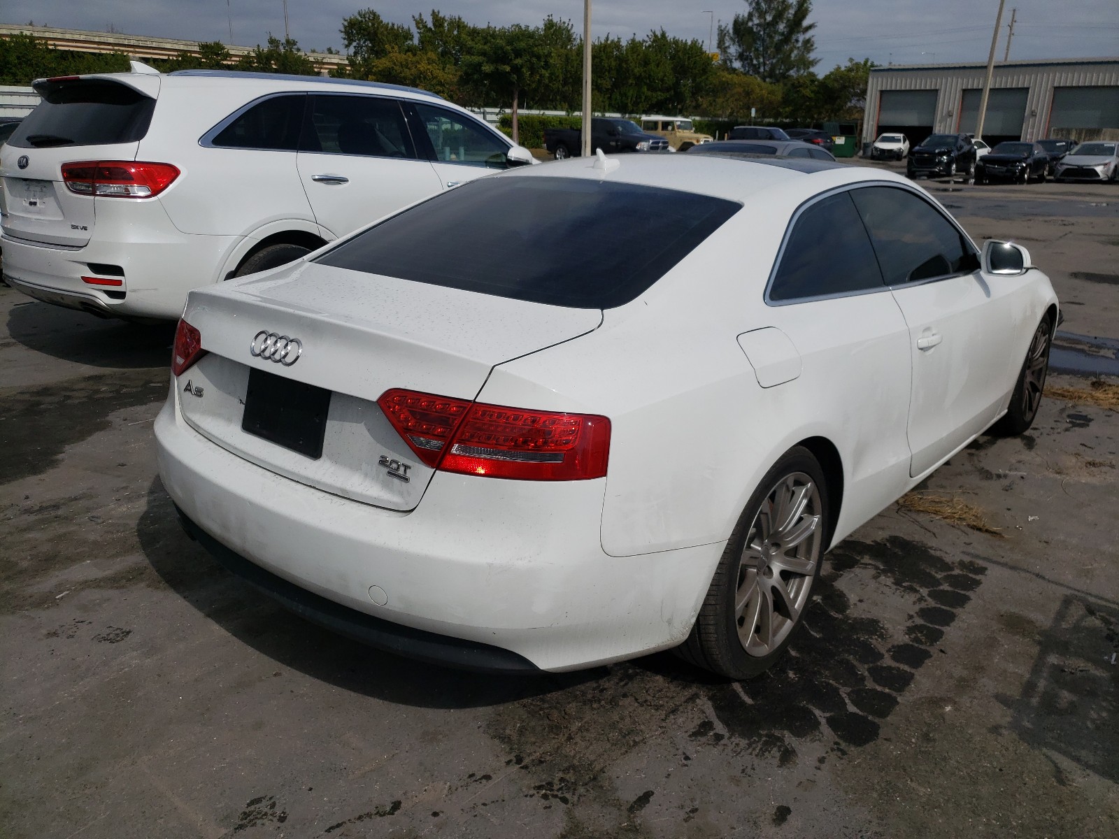 WAULFAFR1BA027774  audi a5 2010 IMG 3