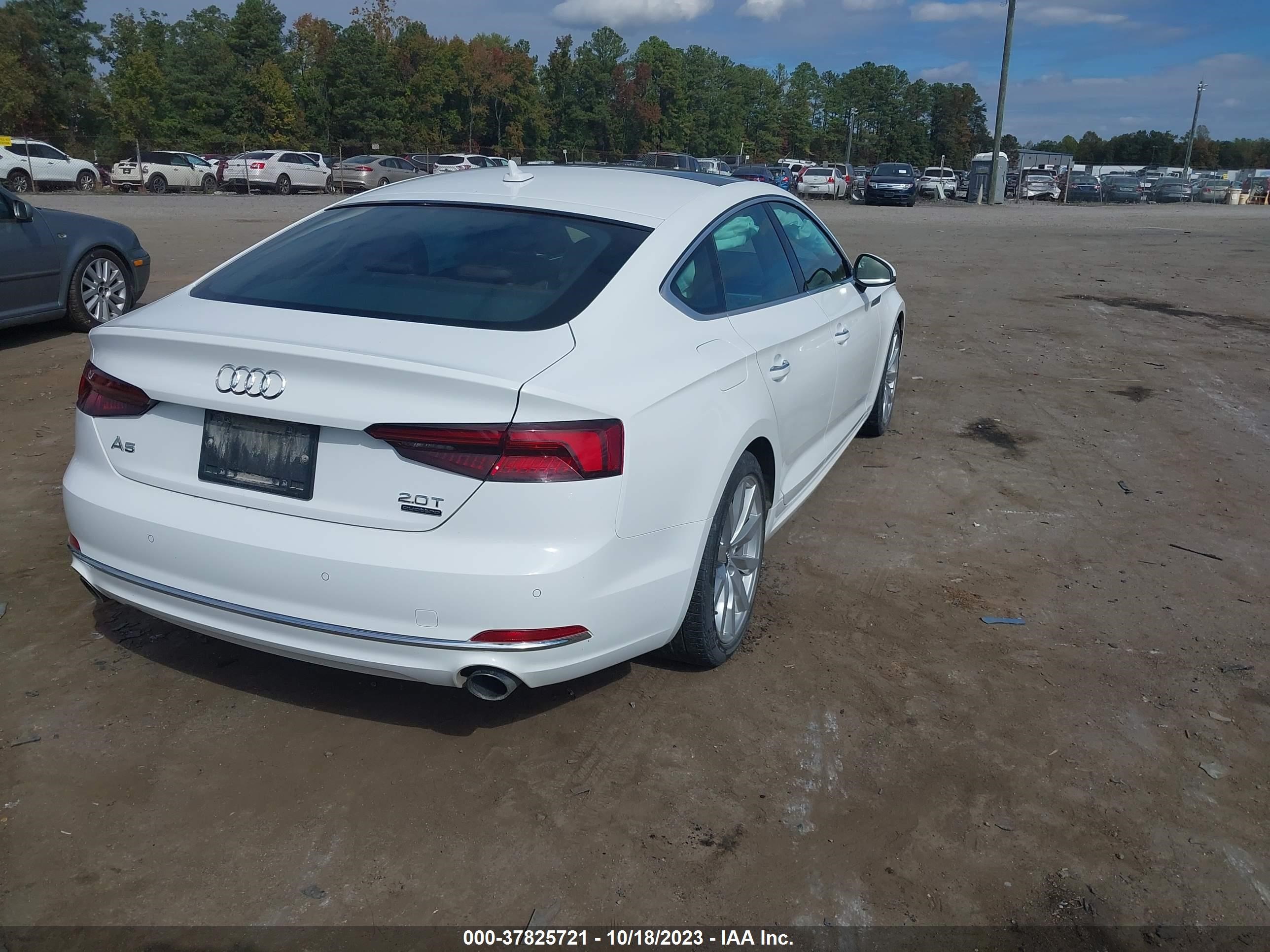 WAUBNCF53JA132208  audi a5 2018 IMG 3