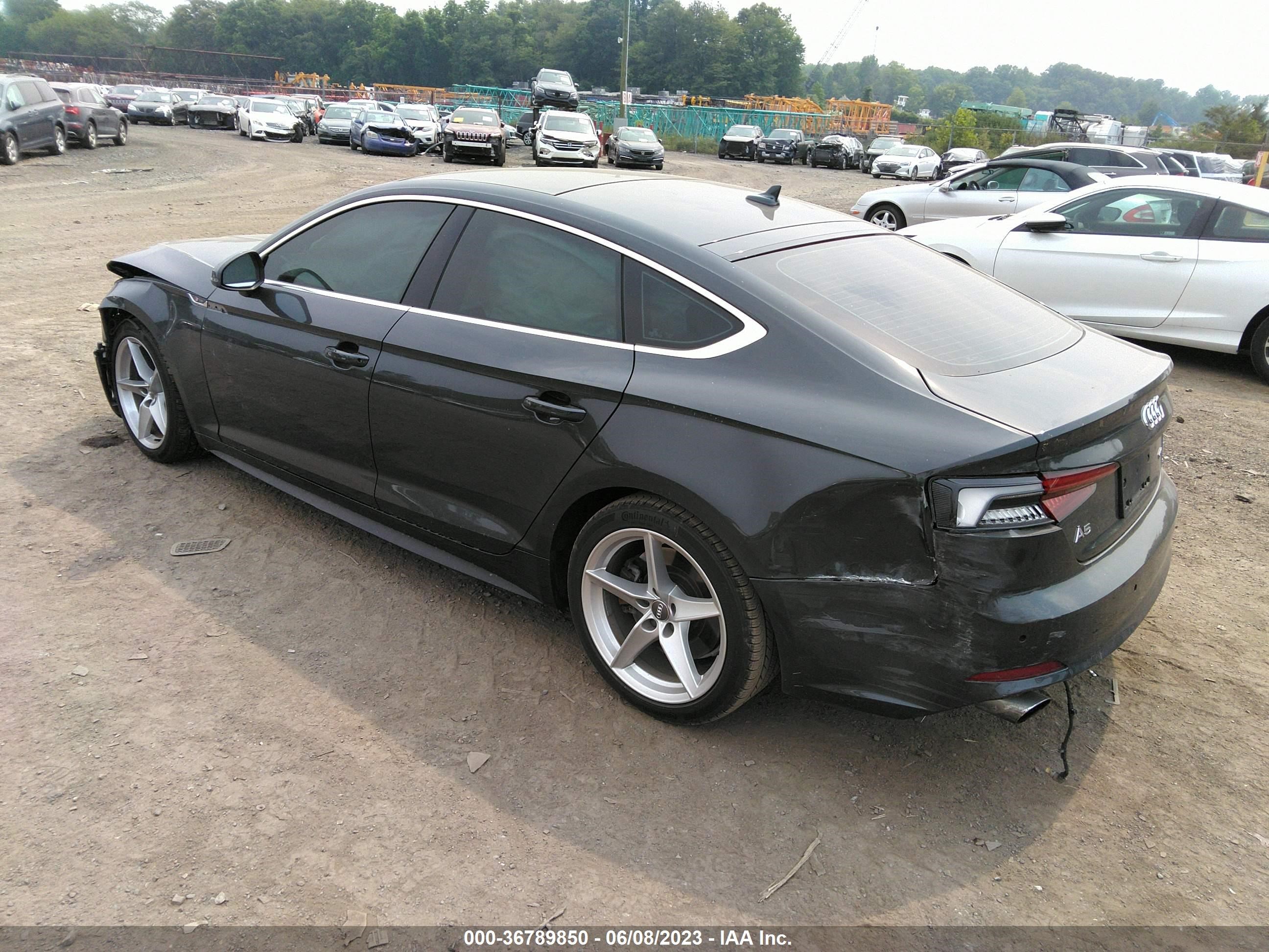 WAUENCF52KA026041  audi a5 2019 IMG 2