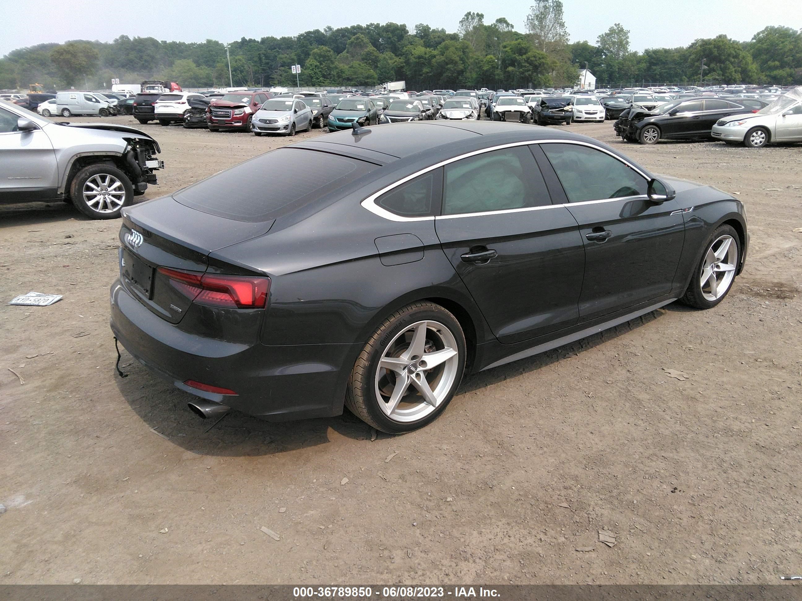 WAUENCF52KA026041  audi a5 2019 IMG 3