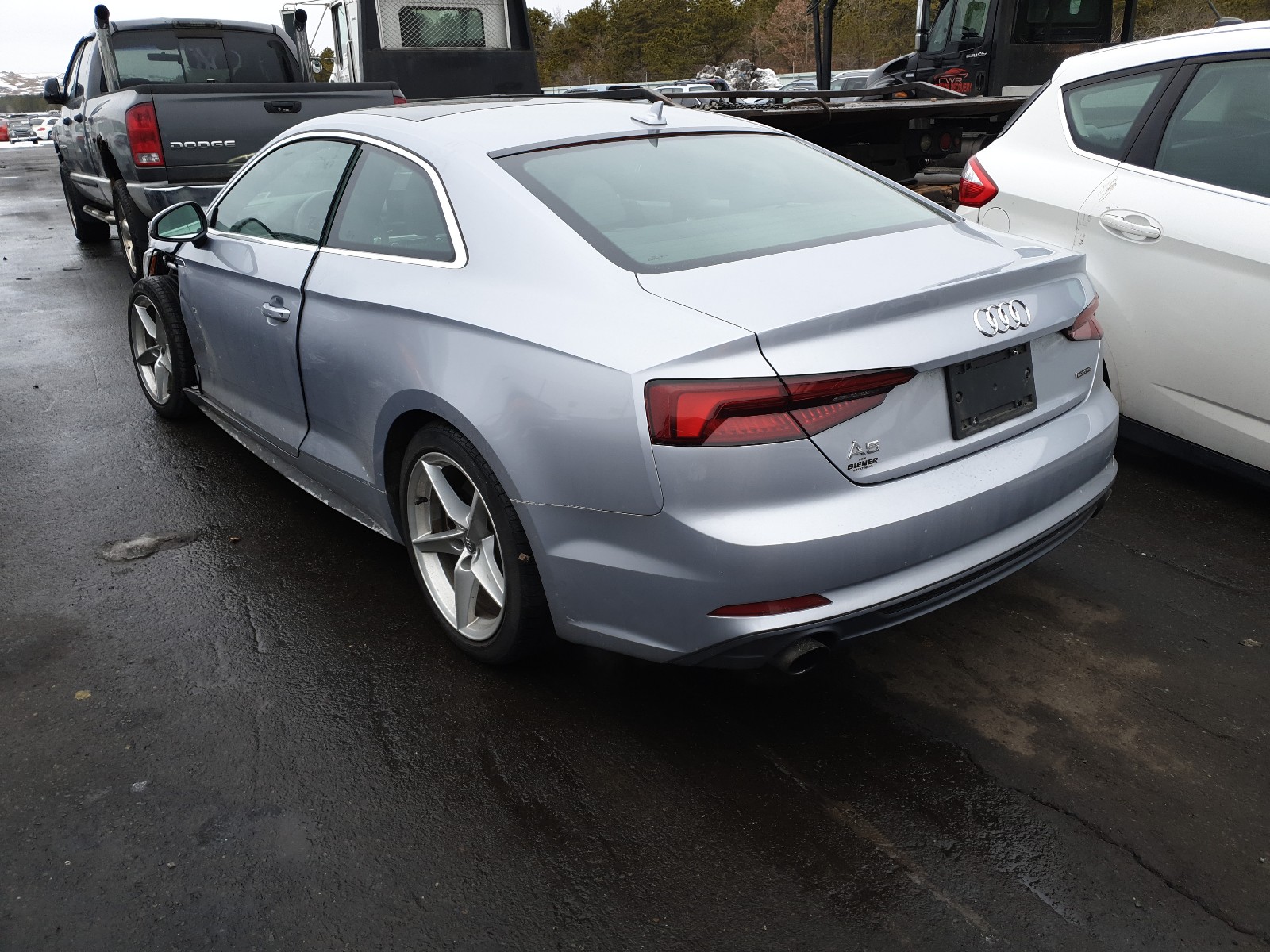 WAUSNAF55KA017499  audi  2019 IMG 2