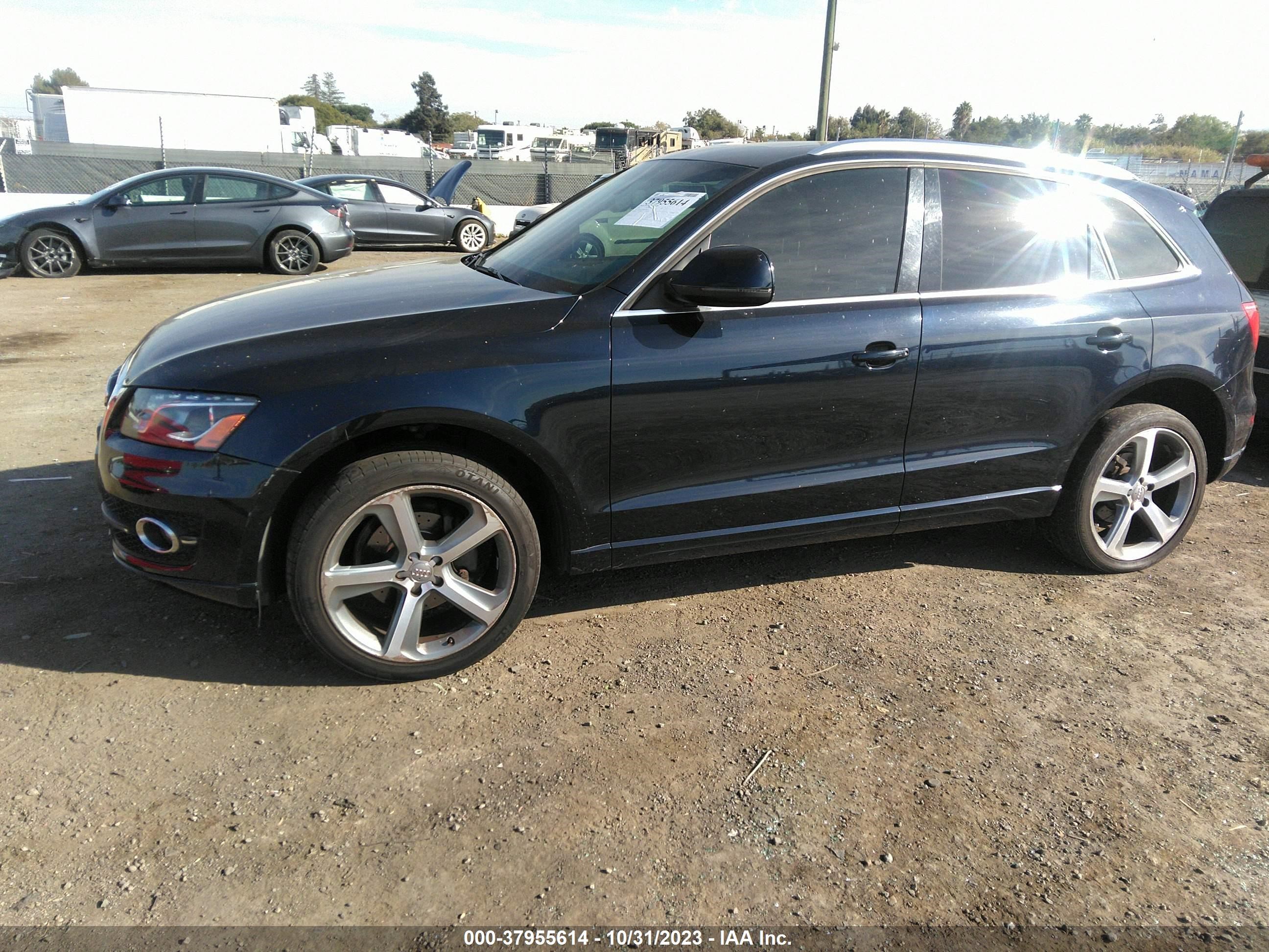 WA1LFAFP4BA030678  audi q5 2010 IMG 1