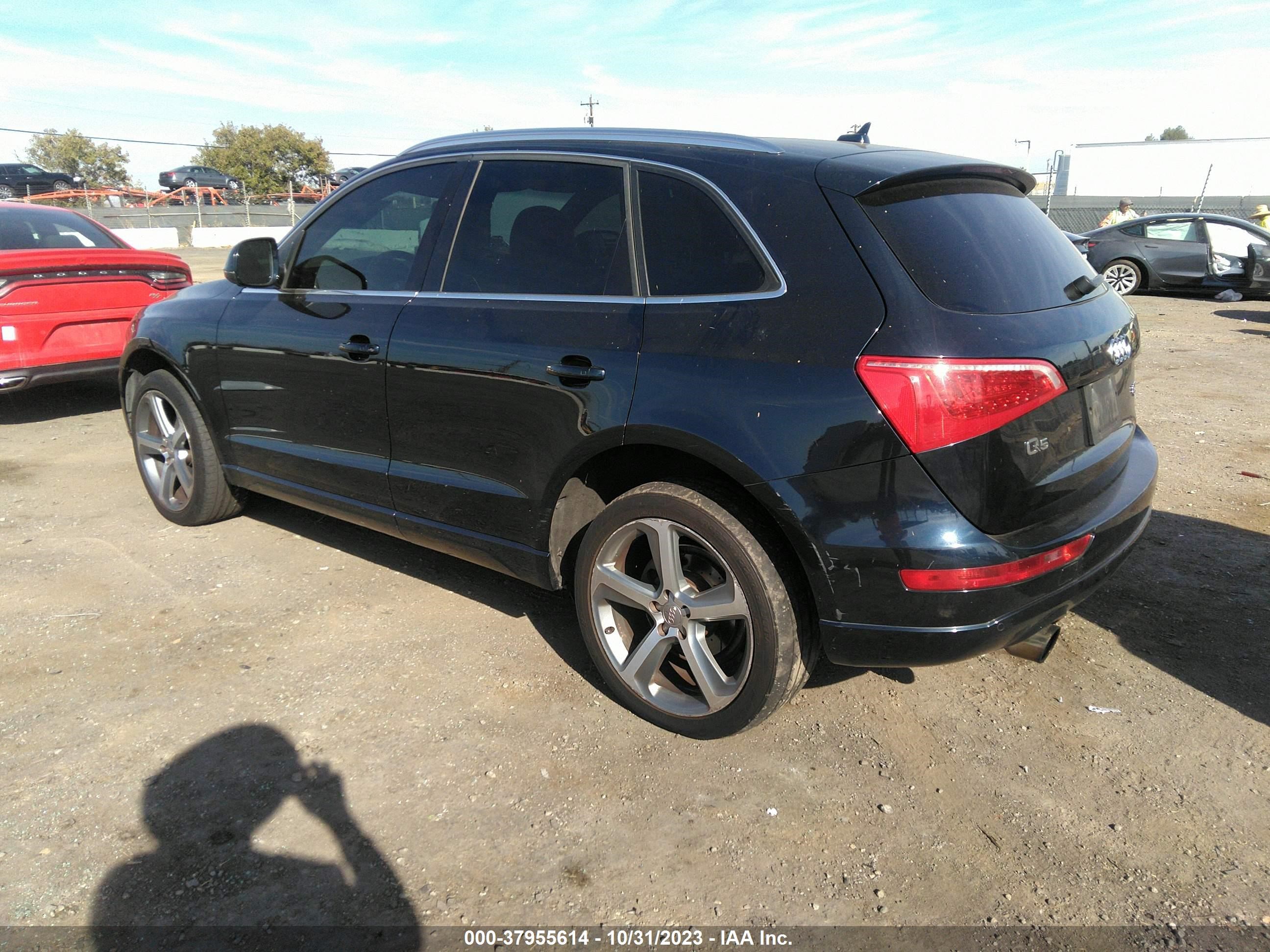 WA1LFAFP4BA030678  audi q5 2010 IMG 2