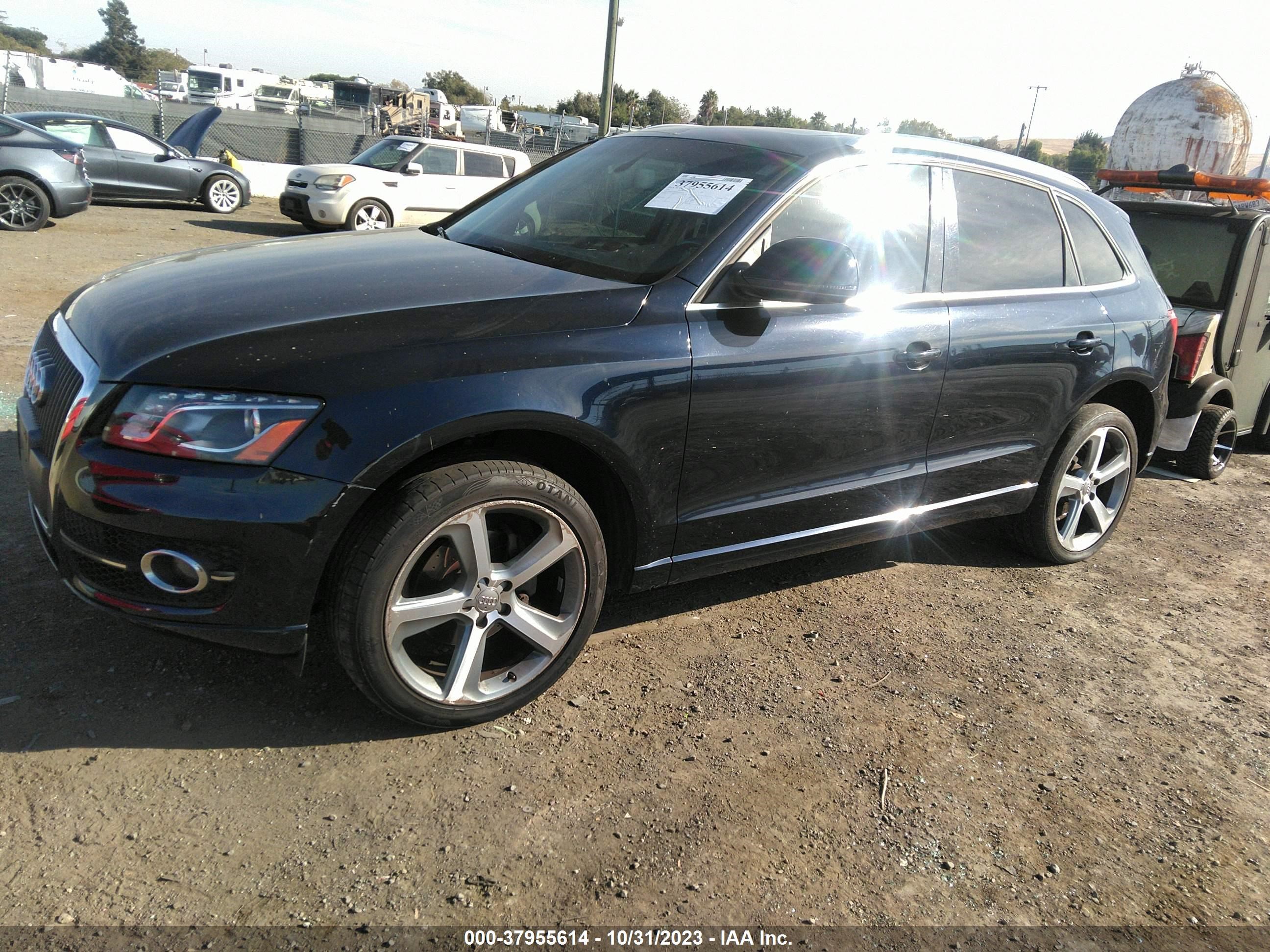 WA1LFAFP4BA030678  audi q5 2010 IMG 3