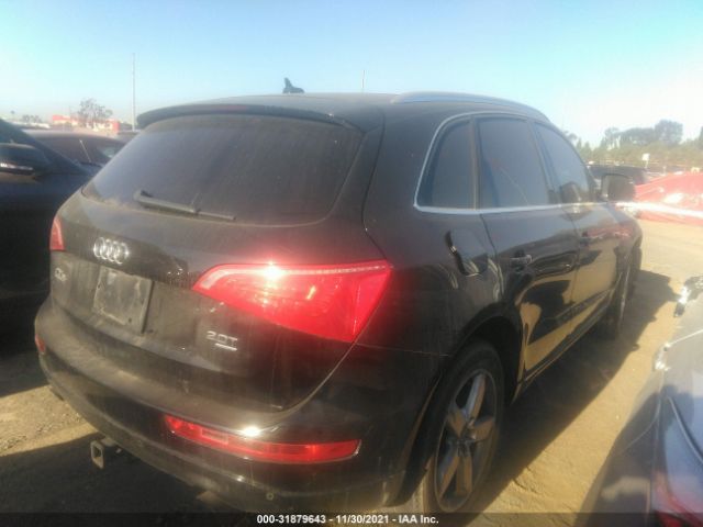 WA1LFAFP6BA005250  audi q5 2011 IMG 3