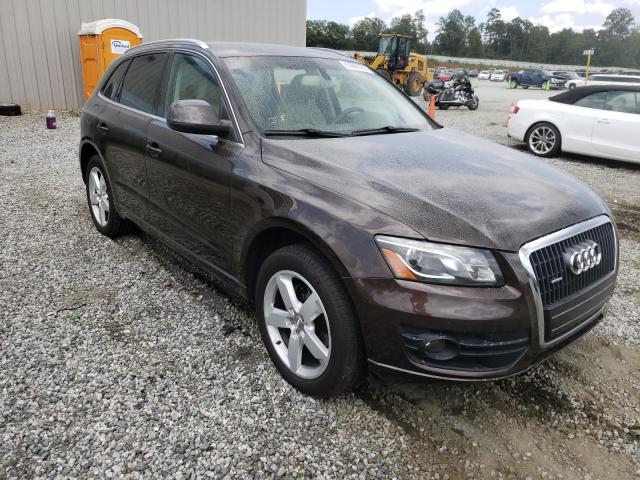 WA1LFAFP7BA015706  audi q5 2010 IMG 0