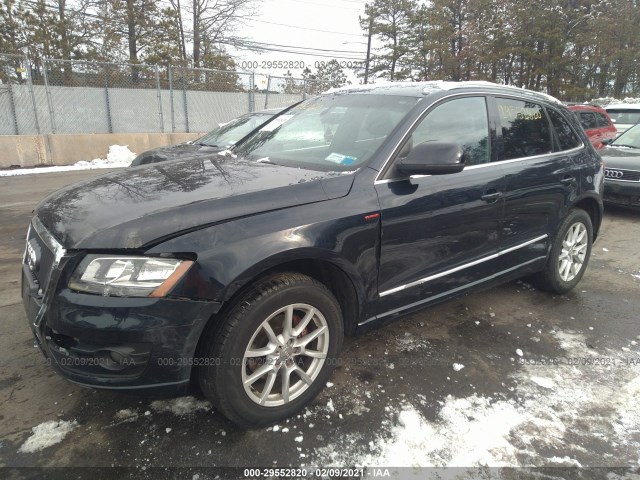 WA1CFAFP1BA061225  audi q5 2011 IMG 1