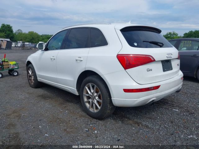 WA1CFAFP2BA081452  audi q5 2011 IMG 2