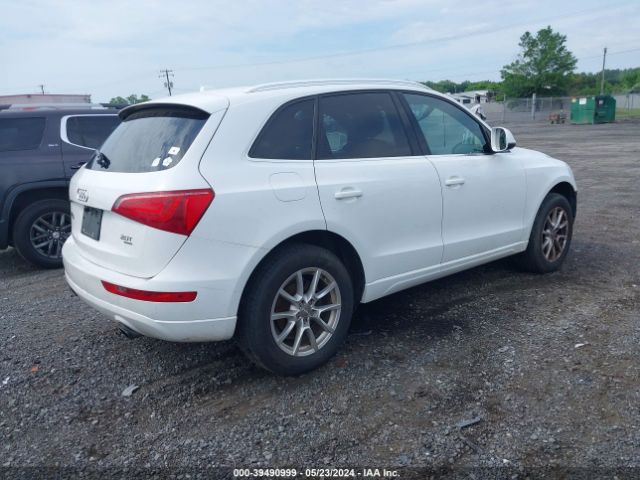 WA1CFAFP2BA081452  audi q5 2011 IMG 3