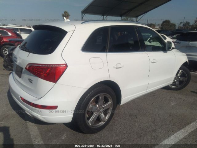 WA1LFAFP0BA116988  audi q5 2011 IMG 3