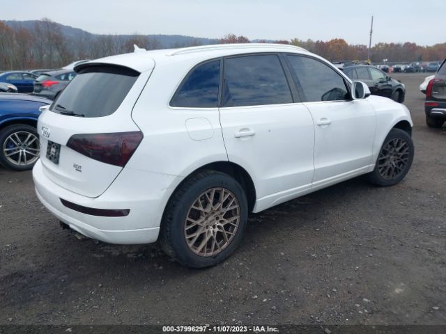 WA1LFAFP7BA047913  audi q5 2011 IMG 3