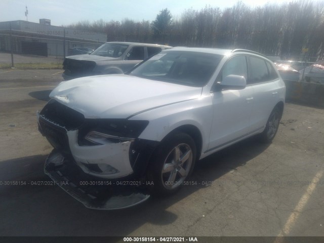 WA1LFAFP1DA010262  audi q5 2013 IMG 1