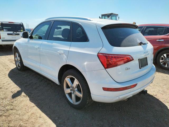 WA1LFAFP2CA089407  audi q5 2012 IMG 2