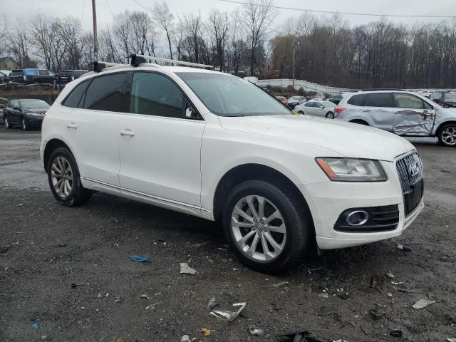 WA1CFAFP4DA064591  audi q5 2013 IMG 3