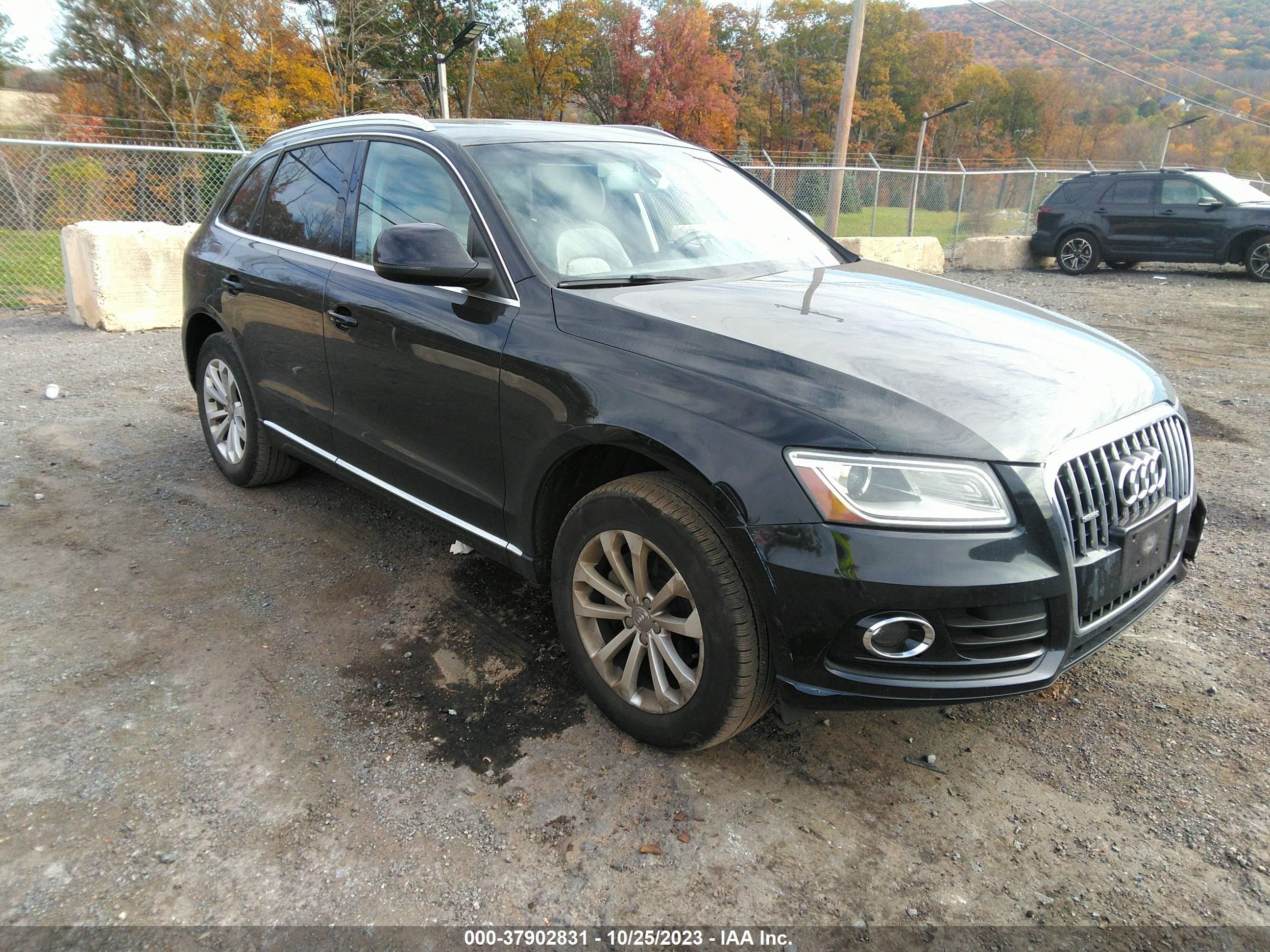 WA1CFAFP5DA078631  audi q5 2013 IMG 0