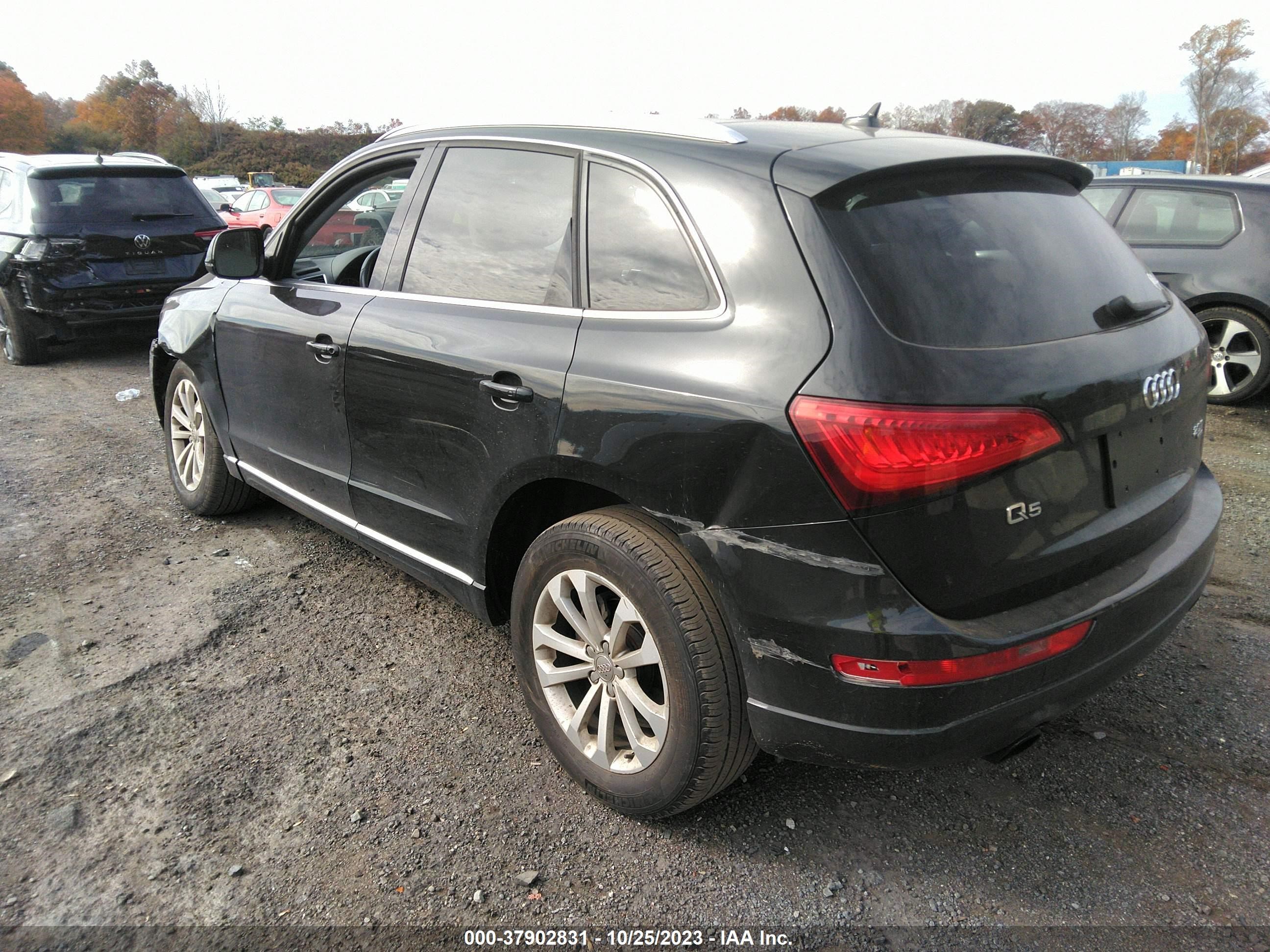 WA1CFAFP5DA078631  audi q5 2013 IMG 2