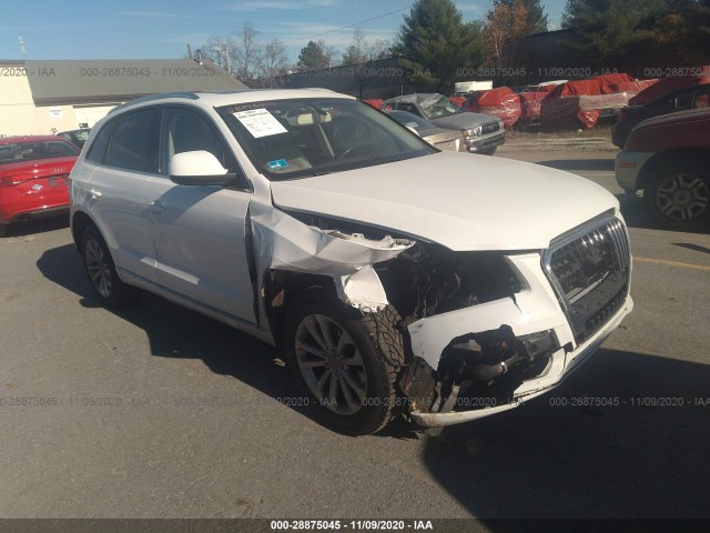 WA1CFAFPXDA061839  audi q5 2013 IMG 0