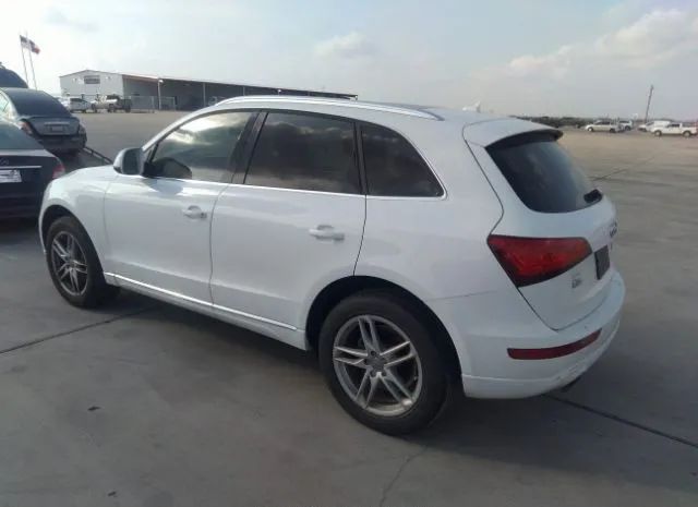 WA1LFAFP0DA053281  audi q5 2013 IMG 2