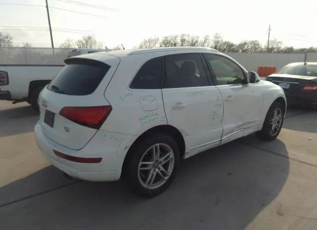 WA1LFAFP0DA053281  audi q5 2013 IMG 3