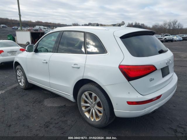 WA1LFAFP2DA095001  audi q5 2013 IMG 2