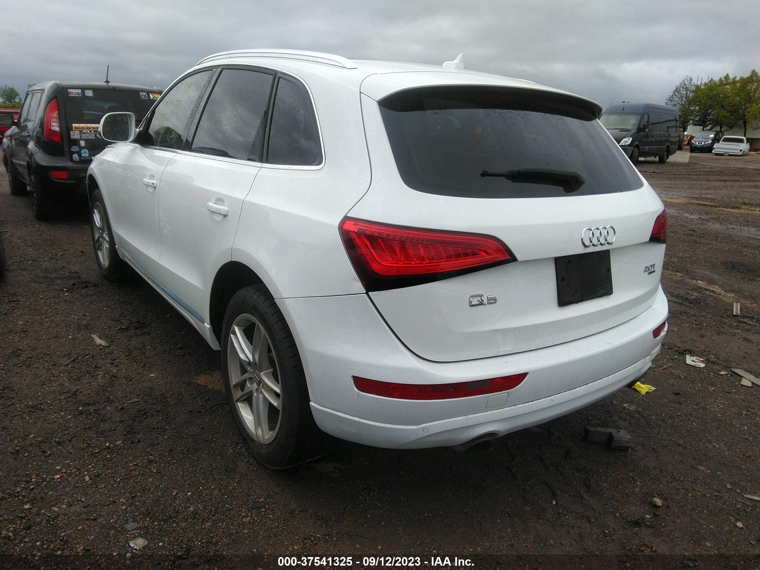 WA1LFAFP3EA035214  audi q5 2013 IMG 2