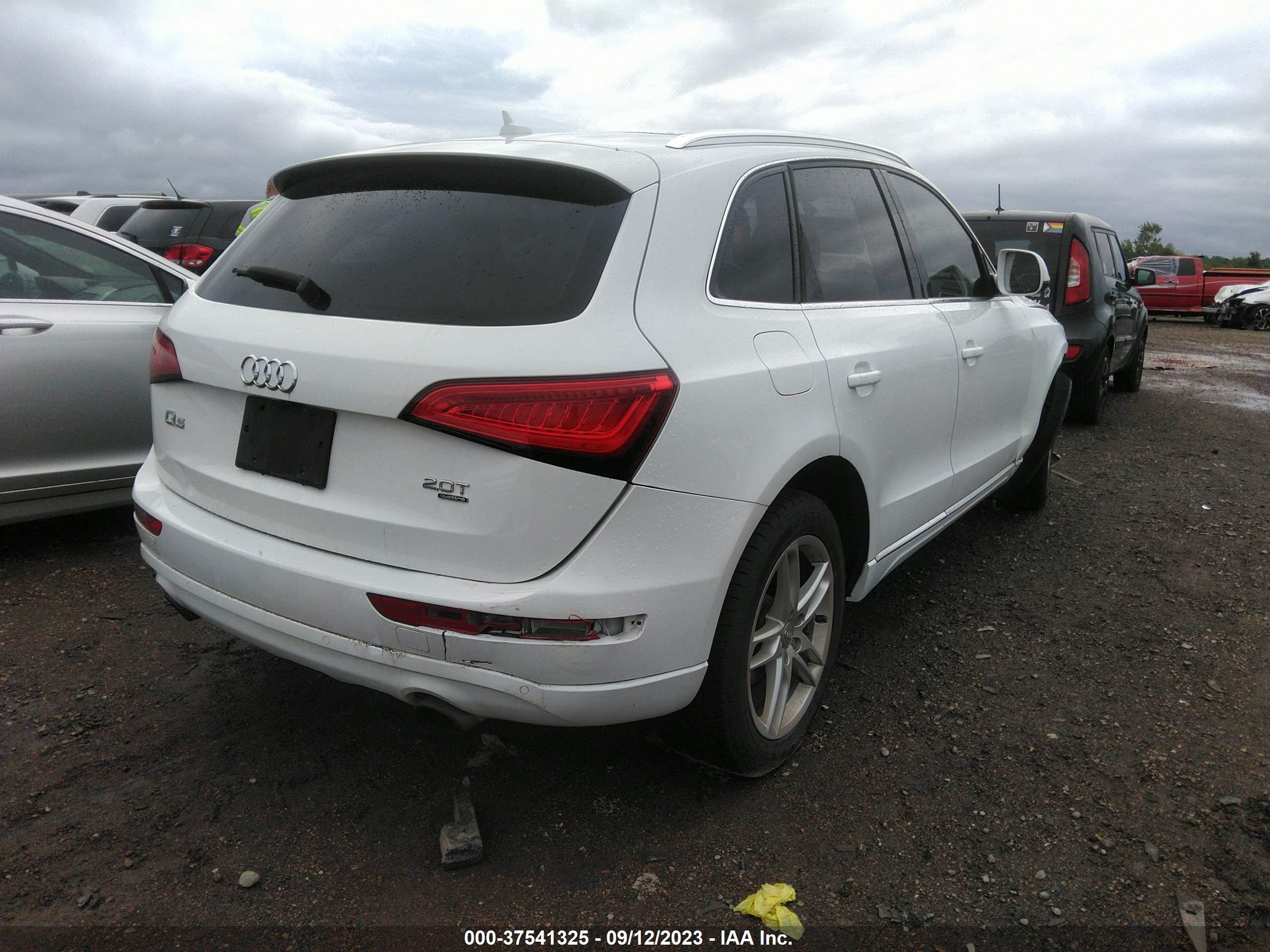 WA1LFAFP3EA035214  audi q5 2013 IMG 3