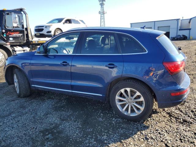 WA1LFAFP6DA071316  audi q5 2013 IMG 1