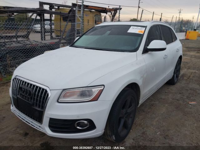 WA1LFAFP9FA009041  audi q5 2014 IMG 5