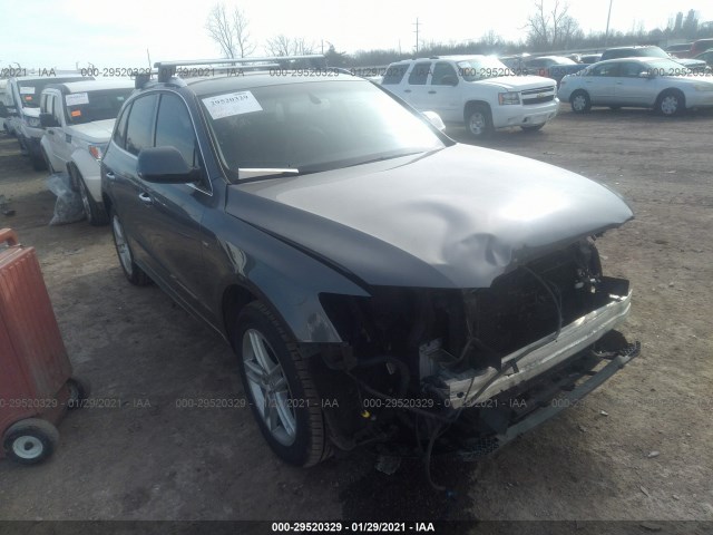 WA1D7AFP6GA150104  audi q5 2016 IMG 0