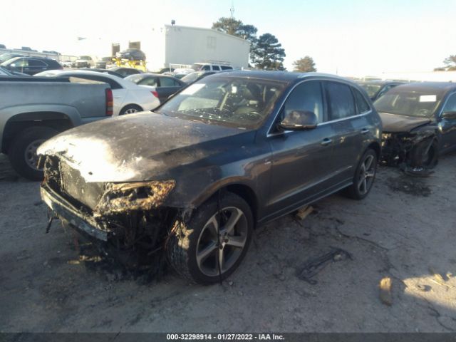 WA1D7AFPXGA108972  audi q5 2016 IMG 1